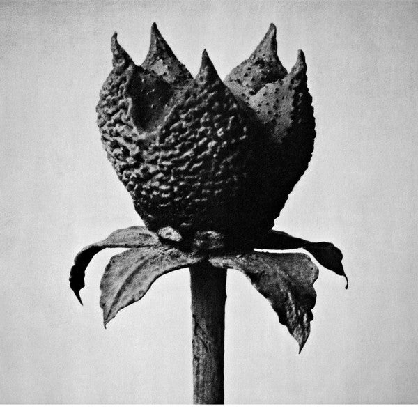 Album art for Masayoshi Fujita - Book Of Life