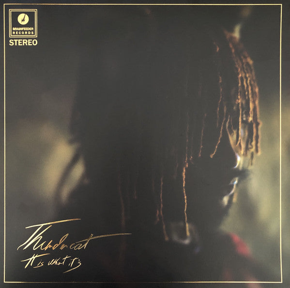 Album art for Thundercat - It Is What It Is