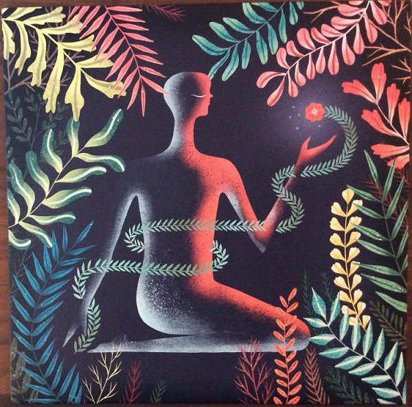 Album art for Loma - Don't Shy Away