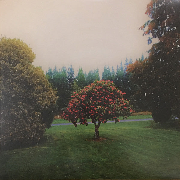 Album art for The Bats - Foothills