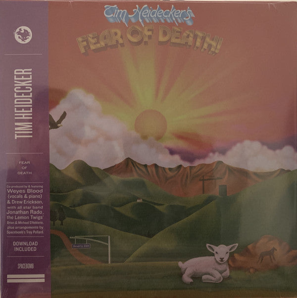 Album art for Tim Heidecker - Fear Of Death