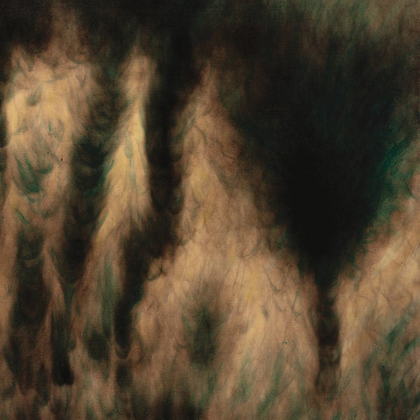 Album art for William Basinski - Lamentations