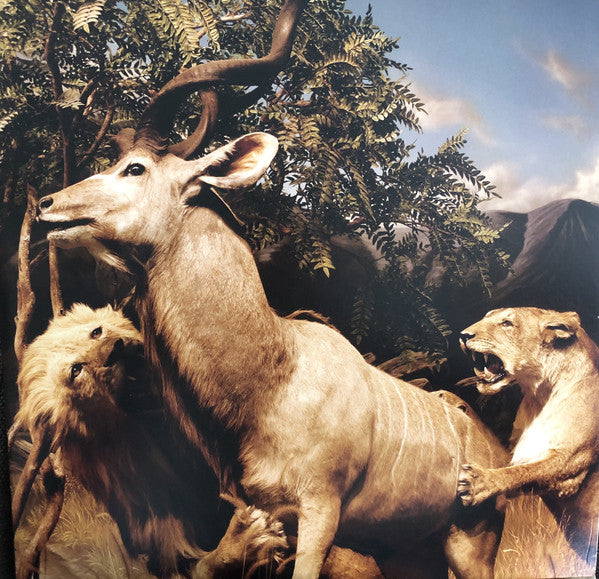 Album art for Interpol - Our Love To Admire