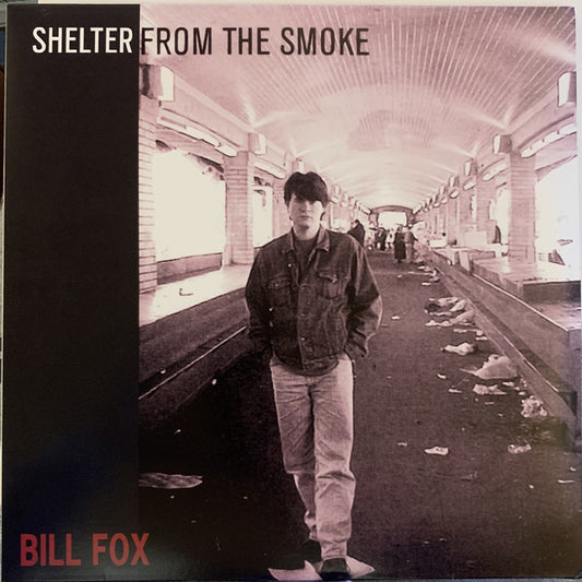 Album art for Bill Fox - Shelter From The Smoke