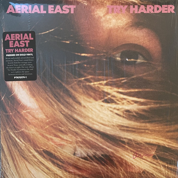 Album art for Aerial East - Try Harder