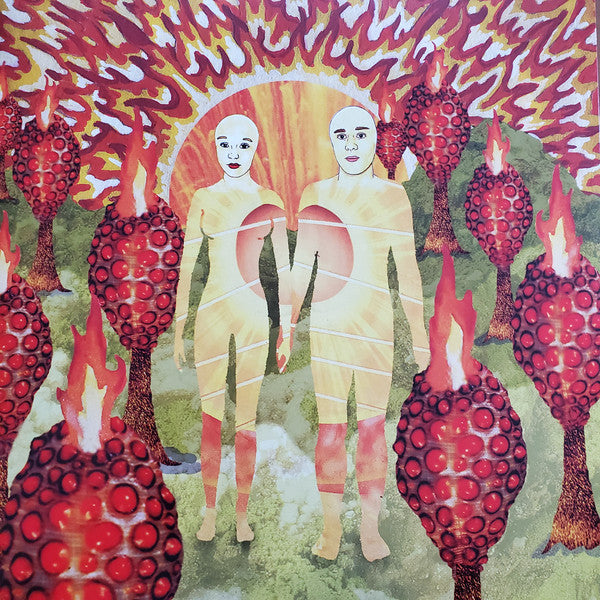 Album art for Of Montreal - The Sunlandic Twins