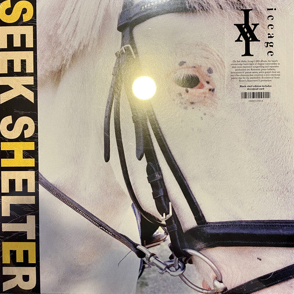 Album art for Iceage - Seek Shelter