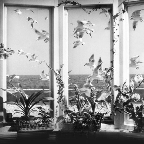 Album art for Andy Stott - Never The Right Time