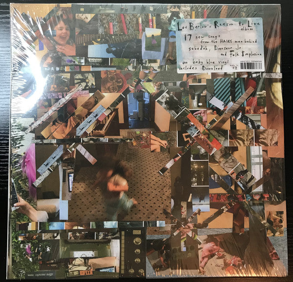 Album art for Lou Barlow - Reason To Live