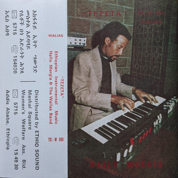 Album art for Hailu Mergia - Tezeta