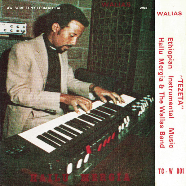 Album art for Hailu Mergia - Tezeta