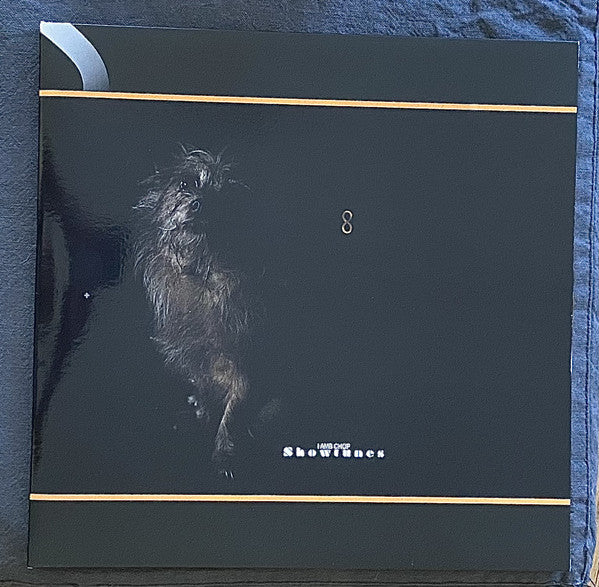 Album art for Lambchop - Showtunes