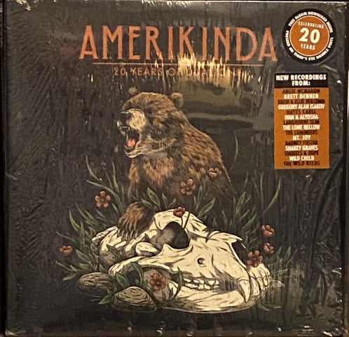 Album art for Various - Amerikinda: 20 Years Of Dualtone