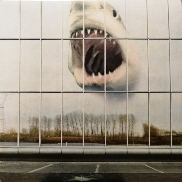 Album art for Black Mountain - Wilderness Heart