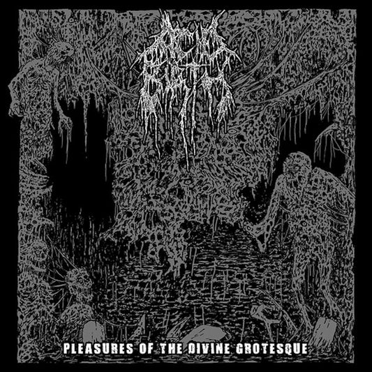 Acid Birth - Pleasures Of The Divine Grotesque CD