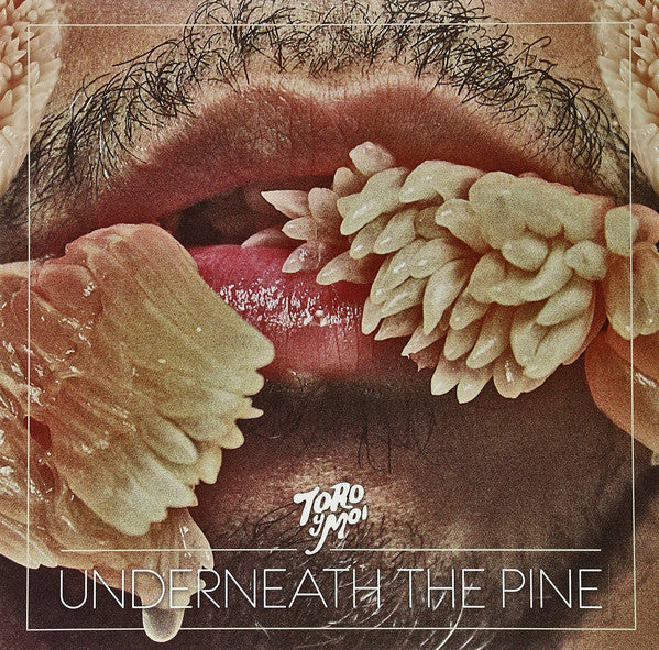 Album art for Toro Y Moi - Underneath The Pine