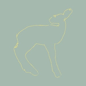 Album art for Songs: Ohia - Hecla & Griper