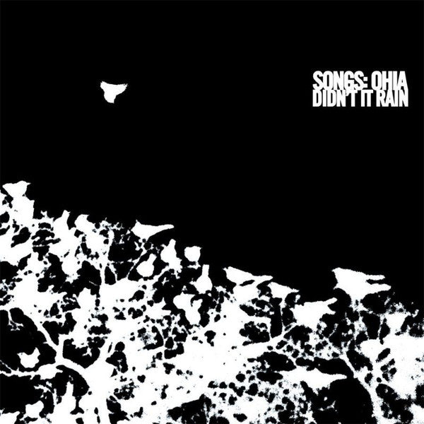 Album art for Songs: Ohia - Didn't It Rain