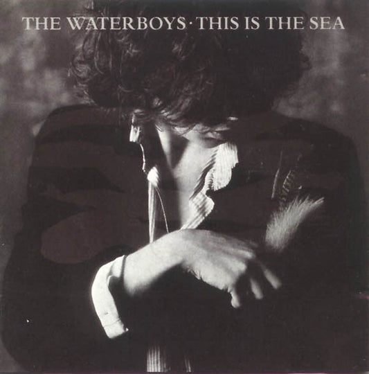 Album art for The Waterboys - This Is The Sea