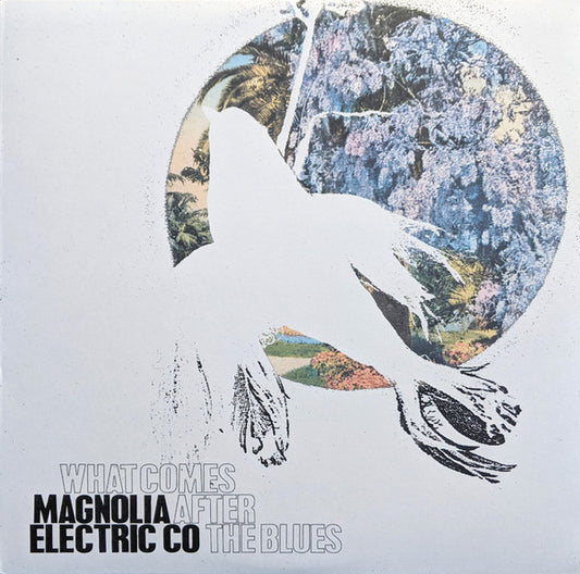 Album art for Magnolia Electric Co. - What Comes After The Blues