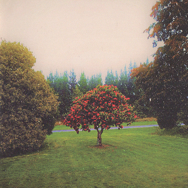Album art for The Bats - Foothills