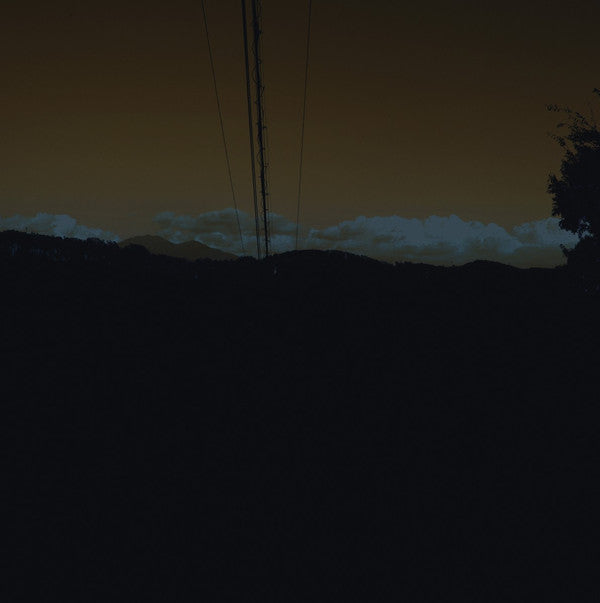 Album art for Jim O'Rourke - To Magnetize Money And Catch A Roving Eye