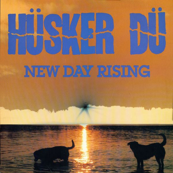 Album art for Hüsker Dü - New Day Rising