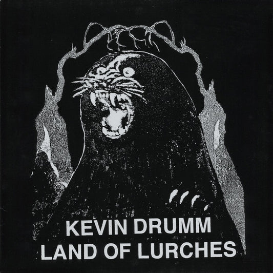 Album art for Kevin Drumm - Land Of Lurches