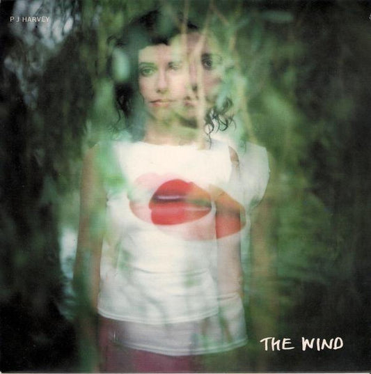 Album art for PJ Harvey - The Wind