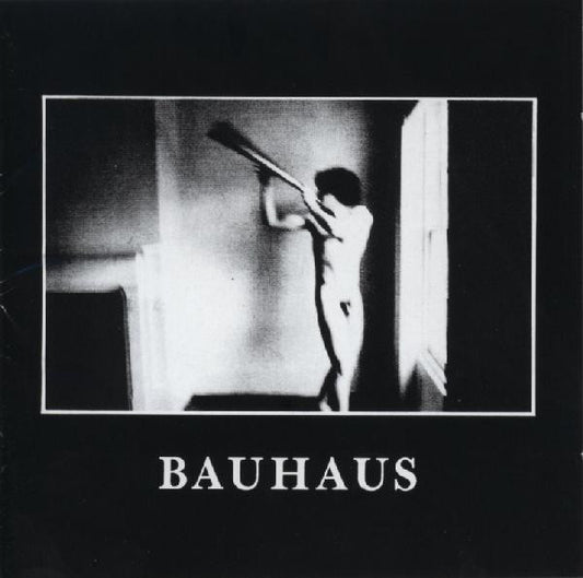Album art for Bauhaus - In The Flat Field