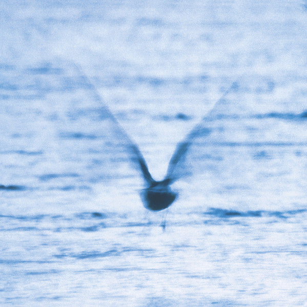 Album art for Ryo Fukui - Mellow Dream