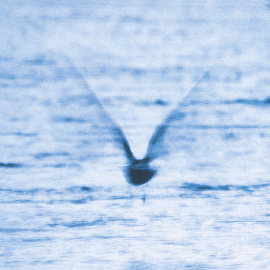 Album art for Ryo Fukui - Mellow Dream