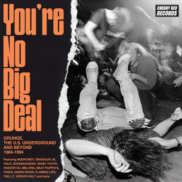 Album art for Various - You’re No Big Deal - Grunge, The US Underground and Beyond 1984-1994, 4CD Box Set