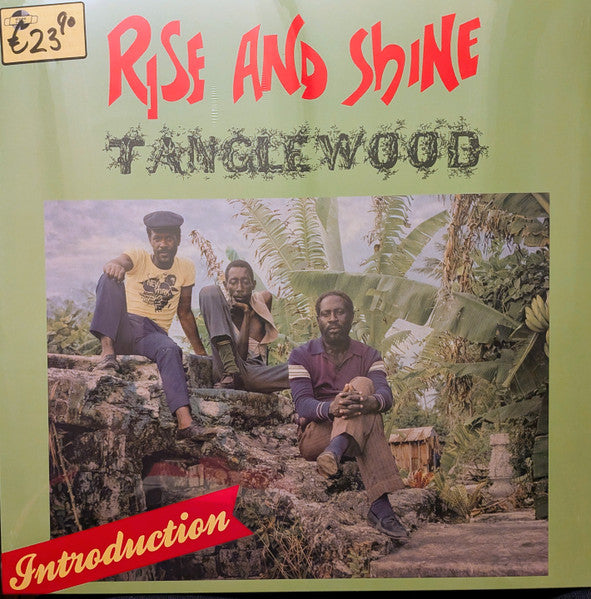 Album art for Tanglewood - Rise And Shine