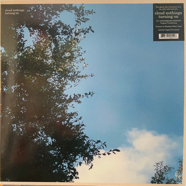 Album art for Cloud Nothings - Turning On