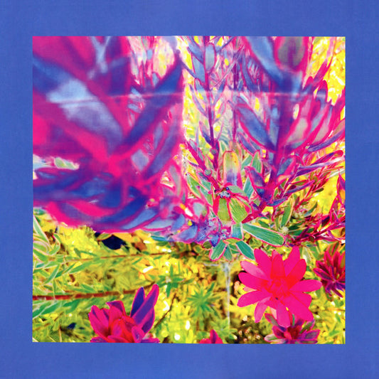 Album art for The Reds, Pinks And Purples - The Past Is A Garden I Never Fed
