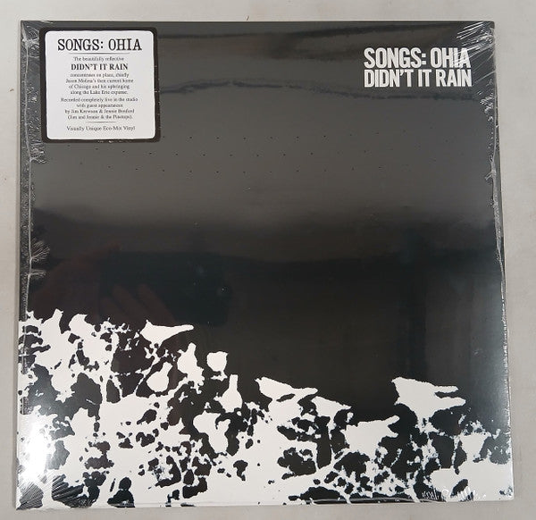 Album art for Songs: Ohia - Didn't It Rain