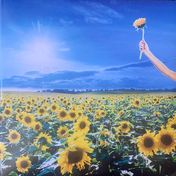 Album art for Stone Temple Pilots - Thank You