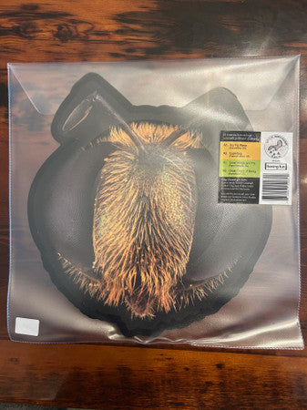 Album art for King Gizzard And The Lizard Wizard - Big Fig Wasp