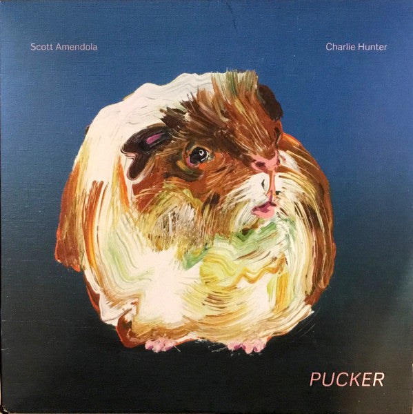 Album art for Scott Amendola - Pucker