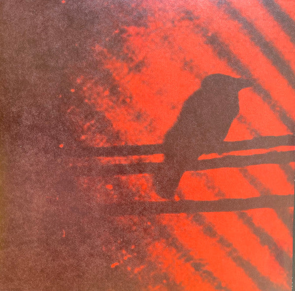 Album art for A Silver Mt. Zion - Born Into Trouble As The Sparks Fly Upward