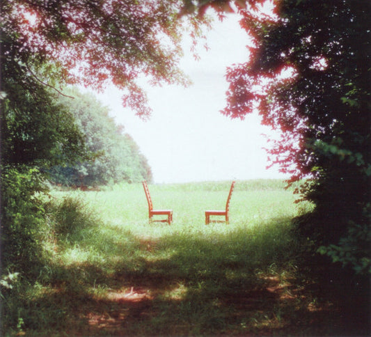 Album art for Ratboys - Singin' To An Empty Chair