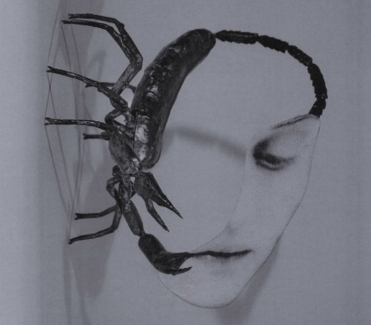 Album art for Tortoise - Touch