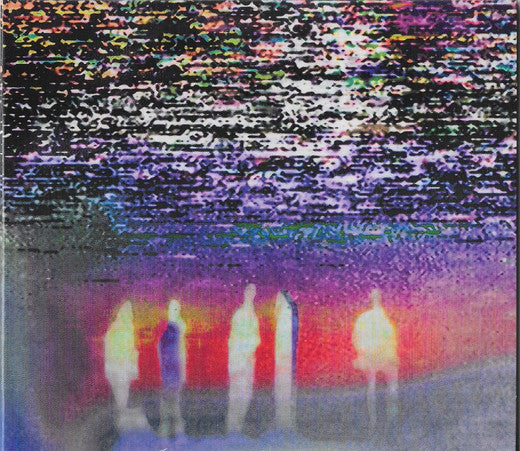 Album art for Just Mustard - We Were Just Here