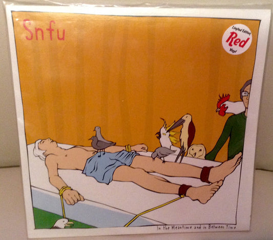 Album art for SNFU - In The Meantime And In Between Time