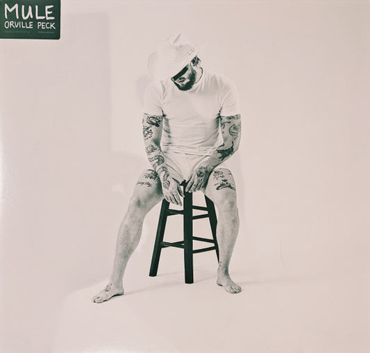 Album art for Orville Peck - Mule