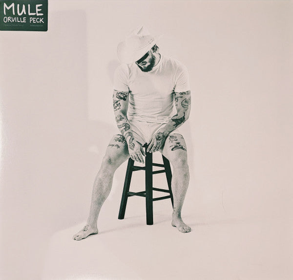 Album art for Orville Peck - Mule