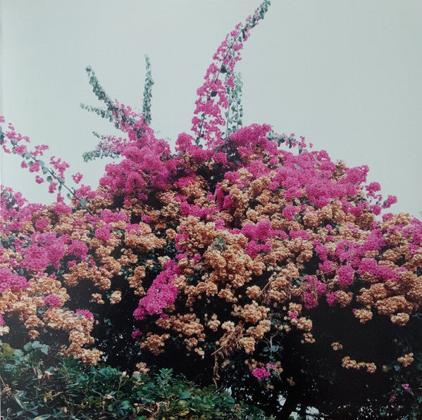 Album art for Jay Som - Turn Into
