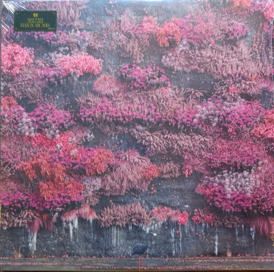 Album art for Sleep Token - Even In Arcadia