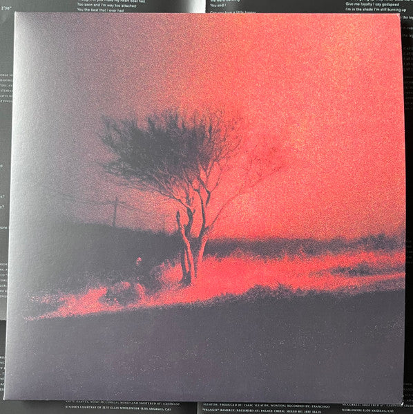 Album art for Joji - Piss In The Wind